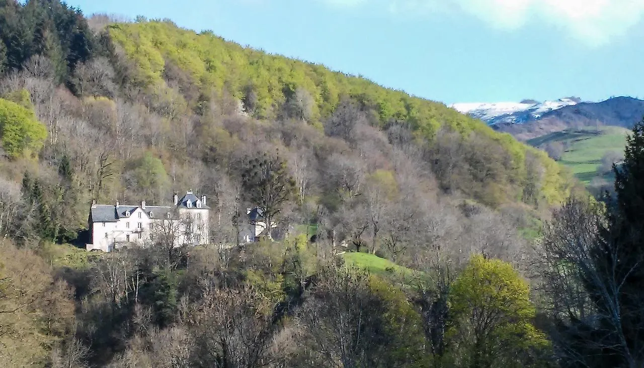 Domaine De La Jordanne - B&B Saint-Cirgues-de-Jordanne